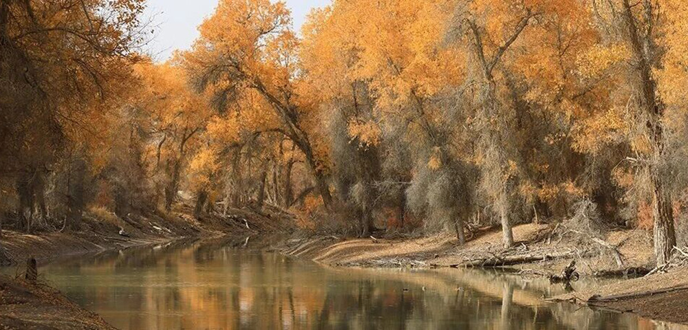 秋分时节话养生：以“收”为要，顺应天时固根本