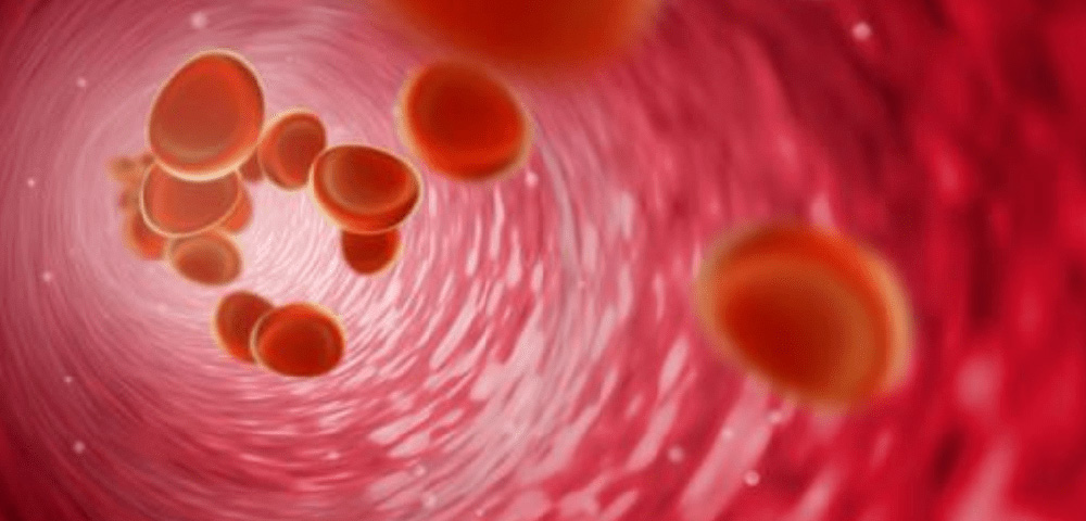 慧康医院：血液净化，为您的健康保驾护航